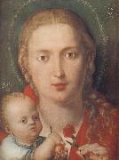 Albrecht Durer The Madonna with a Carna-tion china oil painting artist